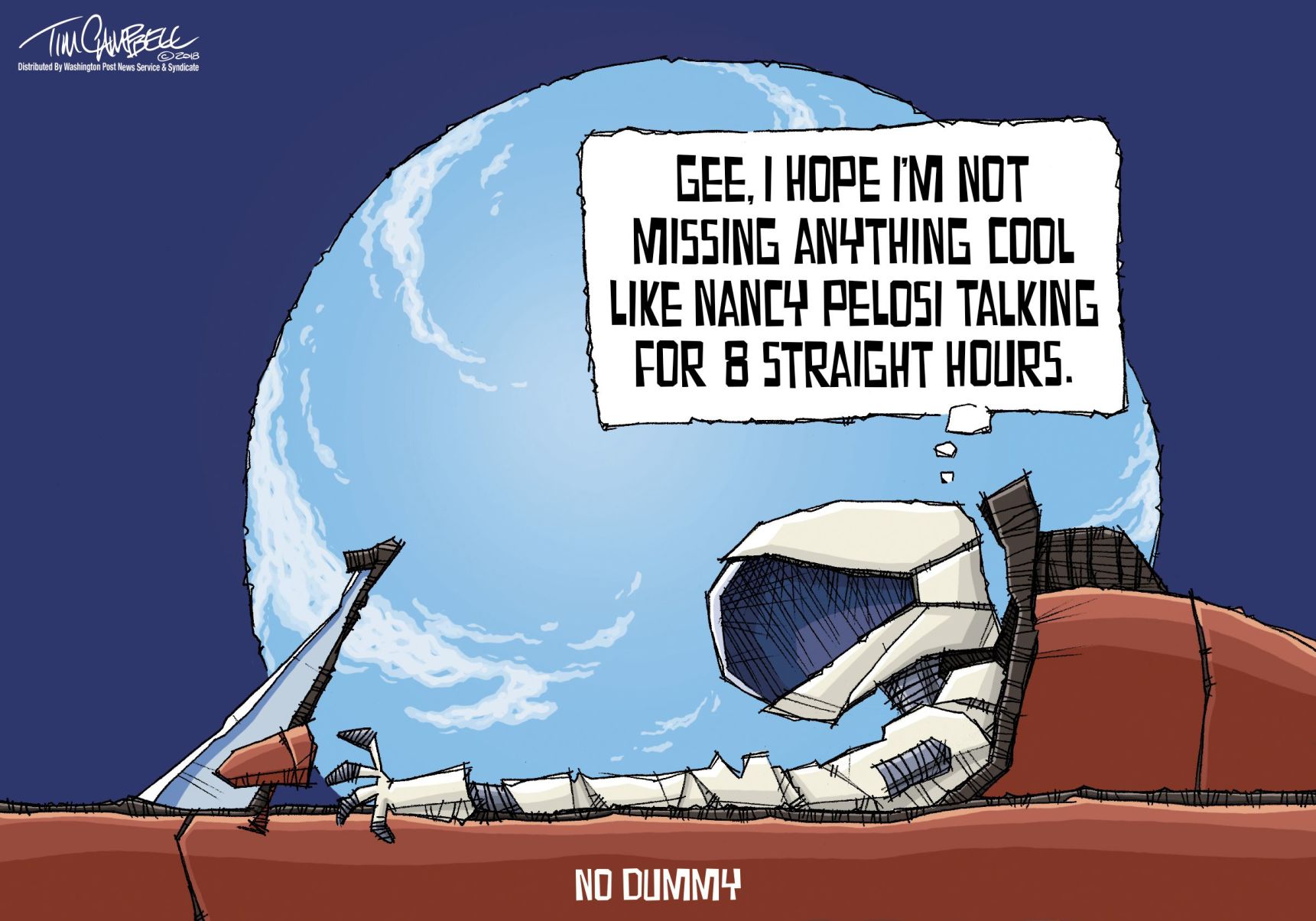 Tim Campbell cartoon